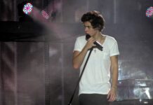 Harry Styles Net Worth: Unveiling the Success of a Modern Icon Harry Styles Net Worth